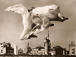 蝶 [杉山吉良, アサヒカメラ 1938年10月号より]のサムネイル画像