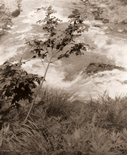 渓流 [雲井信男, アサヒカメラ 1938年10月号より] パブリックドメイン画像 