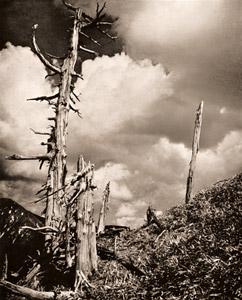 ポエティカルな風景 [高場正也, アサヒカメラ 1935年11月号より]のサムネイル画像