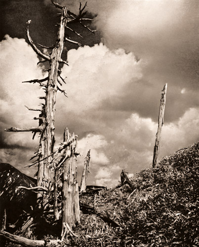 ポエティカルな風景 [高場正也, アサヒカメラ 1935年11月号より] パブリックドメイン画像 