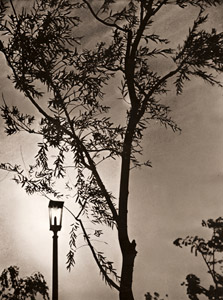 夕陽 [岩浅貞雄, アサヒカメラ 1935年11月号より]のサムネイル画像