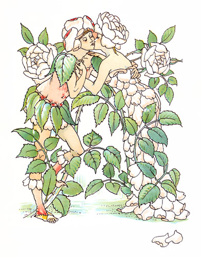 Their lips were four red roses on a stalk, Which in their summer beauty kiss’d each other. (RICHARD III) [Walter Crane,  from Flowers from Shakespeare’s Garden]