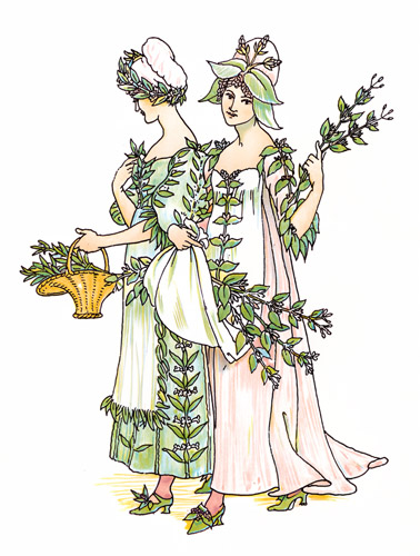 savoury, marjoram;  (The Winter’s Tale) [Walter Crane,  from Flowers from Shakespeare’s Garden]
