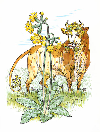 bold oxlips, and  (The Winter’s Tale) [Walter Crane,  from Flowers from Shakespeare’s Garden]