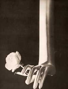 白薔薇 [渋谷龍吉, アサヒカメラ 1938年11月号より]のサムネイル画像
