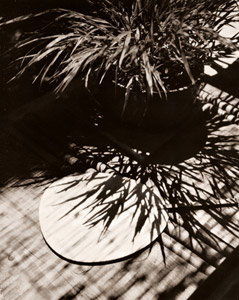 かげ [中川四郎, アサヒカメラ 1938年11月号より]のサムネイル画像
