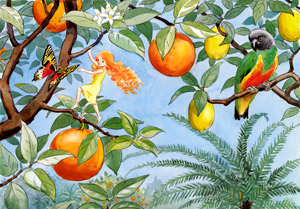挿絵11 (オレンジが実るおひさまの国で暮らす妖精） [エルサ・ベスコフ, おひさまのたまごより]のサムネイル画像