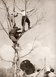 草競馬の春 [間宮精一, アサヒカメラ 1936年7月号より]のサムネイル画像