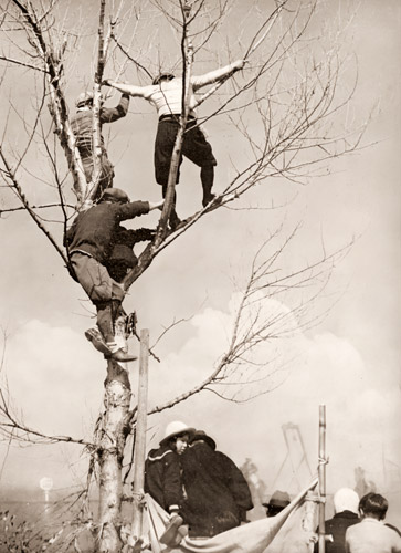 草競馬の春 [間宮精一, アサヒカメラ 1936年7月号より] パブリックドメイン画像 