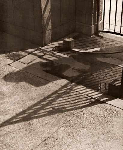 午後の陽 [稲垣利介, アサヒカメラ 1936年7月号より] パブリックドメイン画像 
