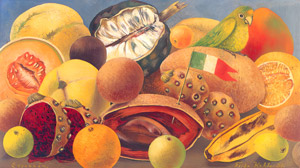インコと旅のある静物 [フリーダ・カーロ, 1951年, フリーダ・カーロとその時代より]のサムネイル画像