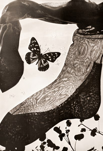 グンゼの絹靴下 [高田誠三, アサヒカメラ 1952年3月号より]のサムネイル画像