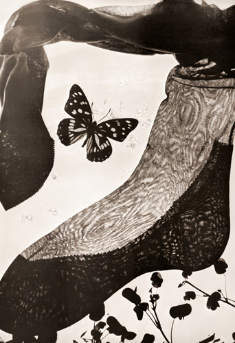 グンゼの絹靴下 [高田誠三, アサヒカメラ 1952年3月号より] パブリックドメイン画像 