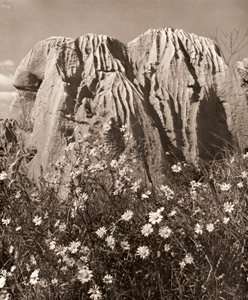 Stalactite Rock [Haruo Koyanagi,  from Asahi Camera March 1952] Thumbnail Images