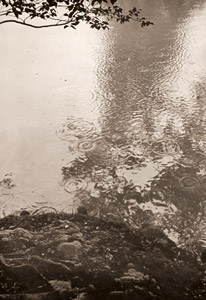 雨の桂離宮 [木村伊兵衛, アサヒカメラ 1952年3月号より]のサムネイル画像