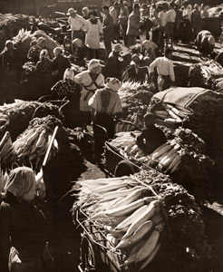 大根市場 [風木信, アサヒカメラ 1952年3月号より]のサムネイル画像