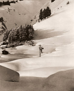 雪晴れ [仮谷六郎, 1951年, アサヒカメラ 1952年2月号より]のサムネイル画像