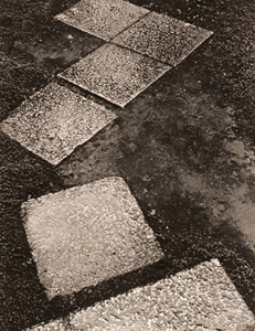 敷石（雨の桂離宮にて） [木村伊兵衛, アサヒカメラ 1952年2月号より]のサムネイル画像