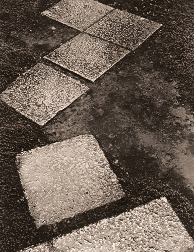 敷石（雨の桂離宮にて） [木村伊兵衛, アサヒカメラ 1952年2月号より] パブリックドメイン画像 