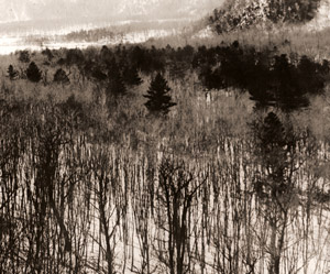Winter Landscape [Seibei Sugano,  from Asahi Camera January 1953] Thumbnail Images