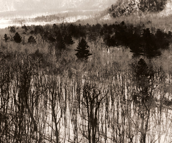 冬景 [菅野清兵衛, アサヒカメラ 1953年1月号より] パブリックドメイン画像 
