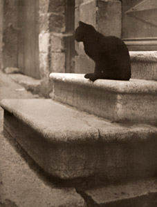 黒猫 [ブラッシャイ, アサヒカメラ 1953年1月号より]のサムネイル画像