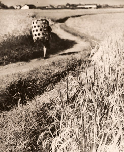 実る田園 [水上翠山, アサヒカメラ 1940年9月号より]のサムネイル画像