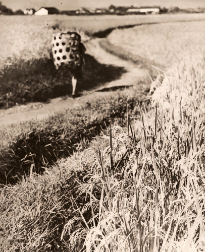 実る田園 [水上翠山, アサヒカメラ 1940年9月号より] パブリックドメイン画像 