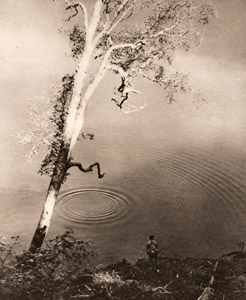 湖畔秋色 [高村友吉, アサヒカメラ 1940年9月号より]のサムネイル画像