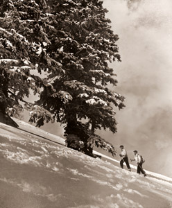 冬山 [尾崎北陽, アサヒカメラ 1940年9月号より]のサムネイル画像