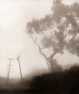 霧 [林栄治, アサヒカメラ 1940年9月号より]のサムネイル画像