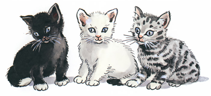 挿絵1 (3匹の子猫） [エルサ・ベスコフ, ペッテルとロッタのぼうけんより] パブリックドメイン画像 