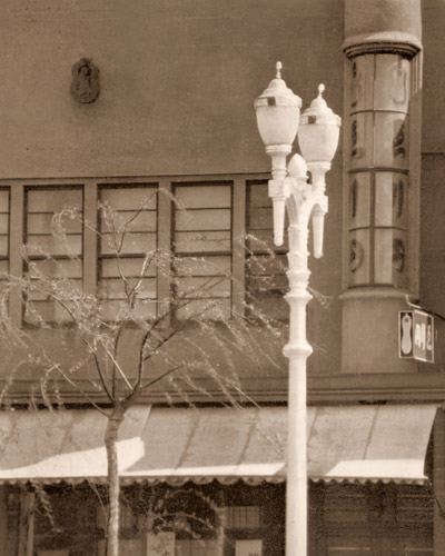 銀座の柳 [小澤芳明, アサヒカメラ 1932年7月号より] パブリックドメイン画像 