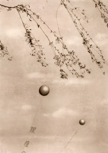 Willow in Ginza [Yeizo Miyazaki,  from Asahi Camera July 1932] Thumbnail Images