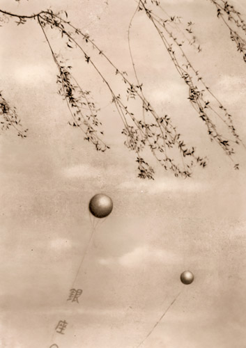 銀座の柳 [宮崎栄三, アサヒカメラ 1932年7月号より] パブリックドメイン画像 