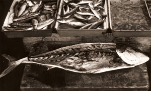 魚 [甘粕又兵衛, 写真サロン 1956年9月号より]のサムネイル画像