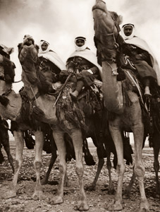 シリアの駱駝隊 [マーガレット・バーク＝ホワイト, アサヒカメラ 1952年9月号より]のサムネイル画像