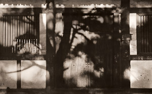 東大寺風景 [佐保山堯海, アサヒカメラ 1952年11月号より]のサムネイル画像
