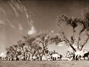 移民 B [マーガレット・バーク＝ホワイト, アサヒカメラ 1952年11月号より]のサムネイル画像