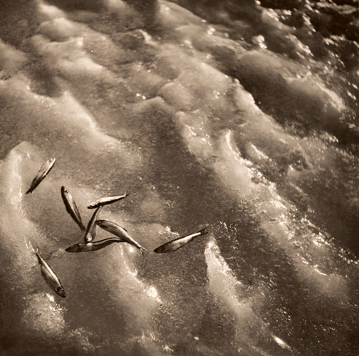 氷上 [岡田紅陽, アサヒカメラ 1940年2月号より] パブリックドメイン画像 