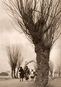街道の冬 [池谷慶太郞, アサヒカメラ 1940年2月号より]のサムネイル画像