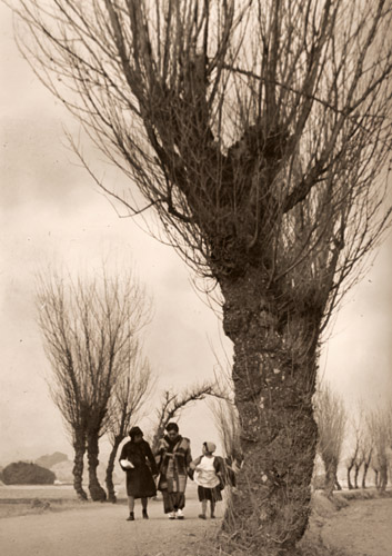 街道の冬 [池谷慶太郞, アサヒカメラ 1940年2月号より] パブリックドメイン画像 