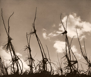 桑園小景 [川崎満男, アサヒカメラ 1940年2月号より]のサムネイル画像