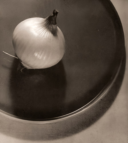 玉葱 [赤荻徳司, アサヒカメラ 1953年2月号より] パブリックドメイン画像 