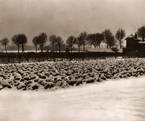雪景色 [ザビーネ・ヴァイス, アサヒカメラ 1953年2月号より]のサムネイル画像