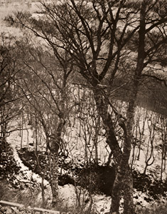 Remaining Snow [Yonehiko Takagi,  from Asahi Camera February 1953] Thumbnail Images