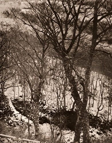残雪 [高木米彦, アサヒカメラ 1953年2月号より] パブリックドメイン画像 