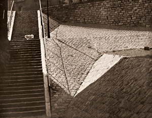 モンマルトルの石段 [ブラッシャイ, アサヒカメラ 1953年2月号より]のサムネイル画像