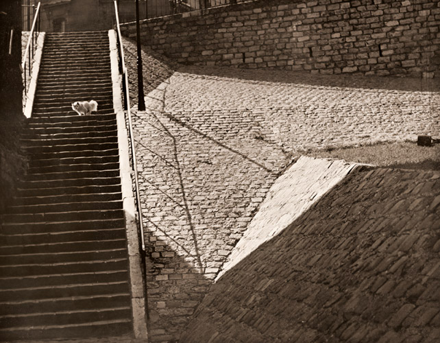 モンマルトルの石段 [ブラッシャイ, アサヒカメラ 1953年2月号より] パブリックドメイン画像 
