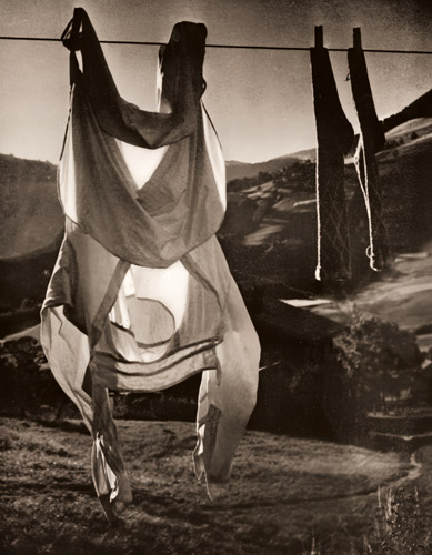 下着 [ブラッシャイ, アサヒカメラ 1953年2月号より] パブリックドメイン画像 
